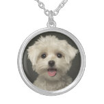 Love White Maltese Puppy Dog Pendant Necklace at Zazzle