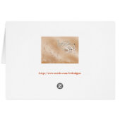 Love with swans and diamond cards (Back Horizontal)