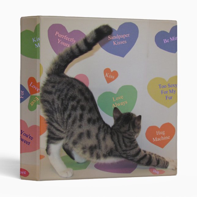 Love, Wyatt - Cat / Kitten 3 Ring Binder (Front/Spine)