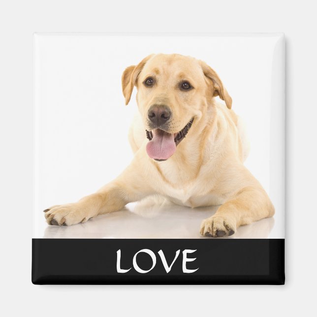 Love Yellow Labrador Retreiver  Magnet (Front)