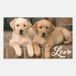 Love Yellow Labrador Retriever Puppies Sticker