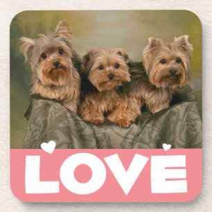 Love Yorkshire Terrier Puppy Dog Coaster