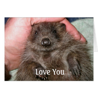 Love You Card