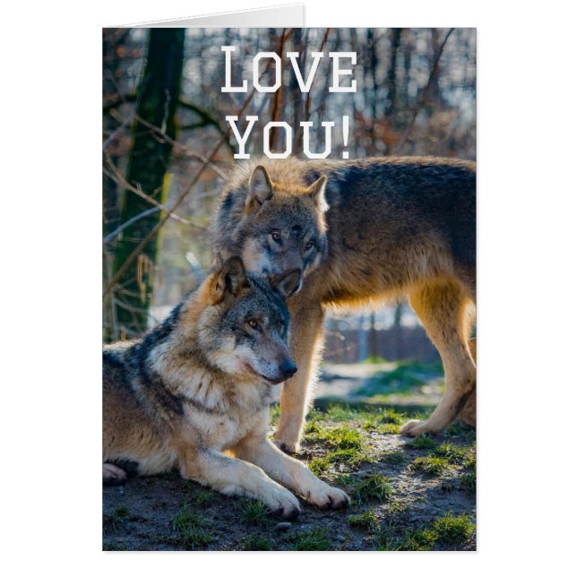 Love you cards (Front)