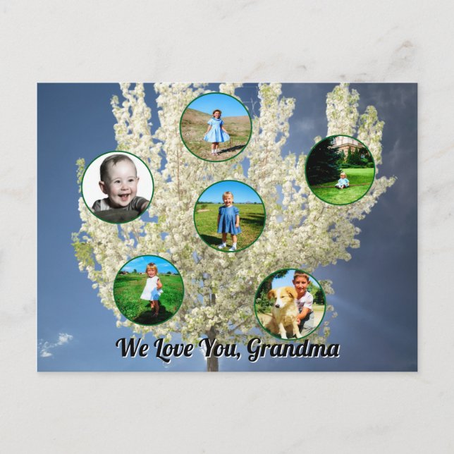 Love You Grandma White Blossoming Tree Six Photos  Postcard (Front)