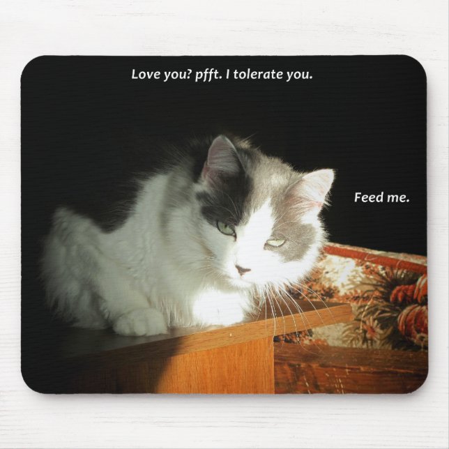 Love you? I Tolerate You Mouse Pad (Front)