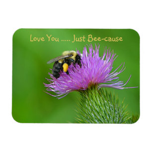 Love You Just Bee-cause Magnet