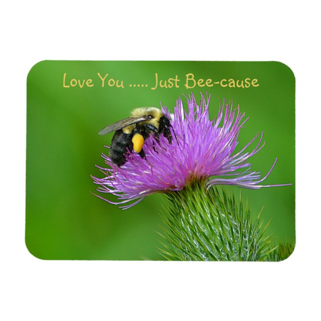 Love You Just Bee-cause Magnet (Horizontal)