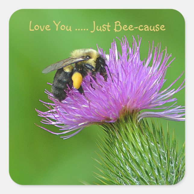 Love You Just Bee-cause Square Sticker (Front)