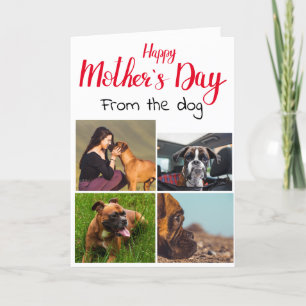 Love you Mom...4 photo custom collage from the dog Letterpress Thank You Card