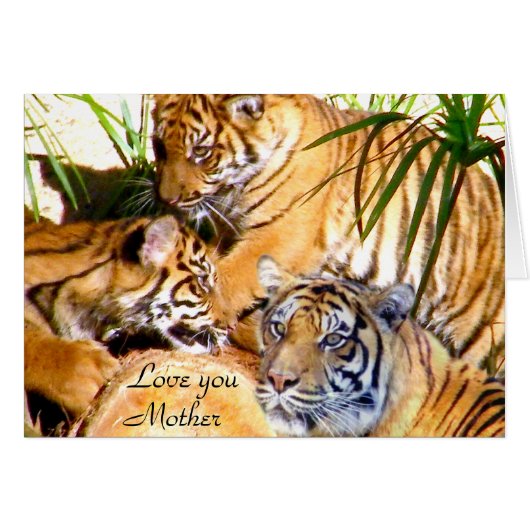 Love You,Mother_ (Front Horizontal)