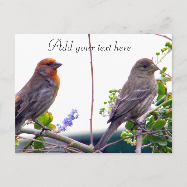 Love You_ Postcard (Front)