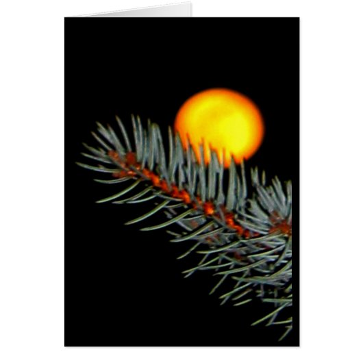 Love You To The Moon And Back! (Front)