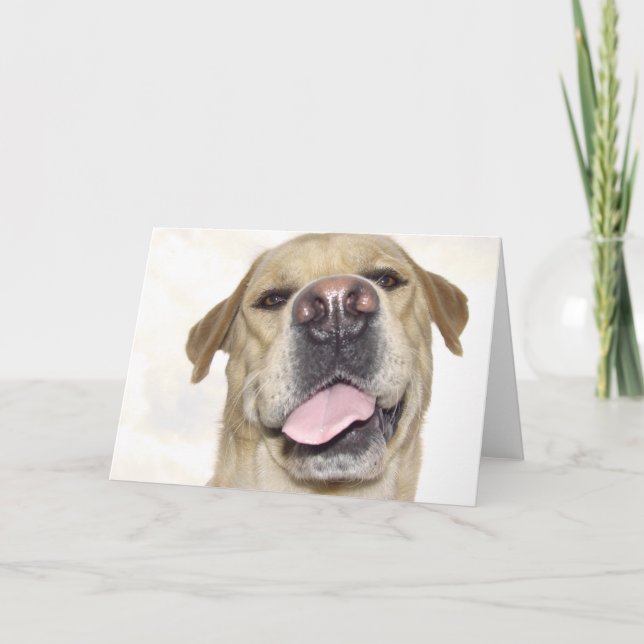 Love you too - goofy Labrador portrait Card (Front)