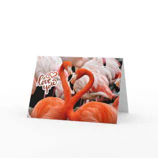 Love You Two Beautiful Flamingo Birds  Card