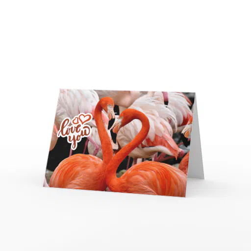 Love You Two Beautiful Flamingo Birds  Card