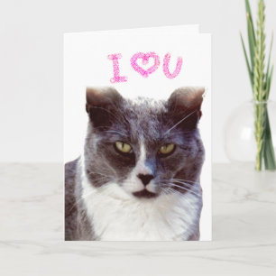 Love You Valentine From Your Cat Greeting Card