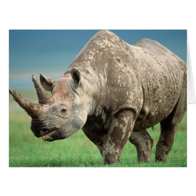 Love Your Armor (Front Horizontal)