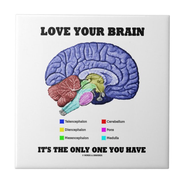 Love Your Brain It's The Only One You Have (Brain) Ceramic Tile (Front)
