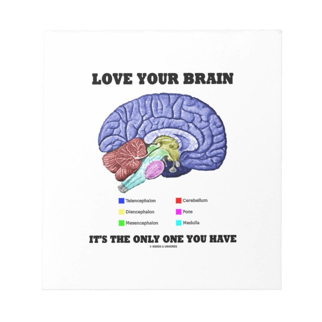 Love Your Brain It's The Only One You Have (Humor) Notepad (Front)