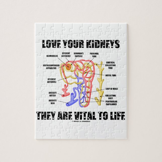 Love Your Kidneys They Are Vital To Life (Nephron) Jigsaw Puzzle (Vertical)