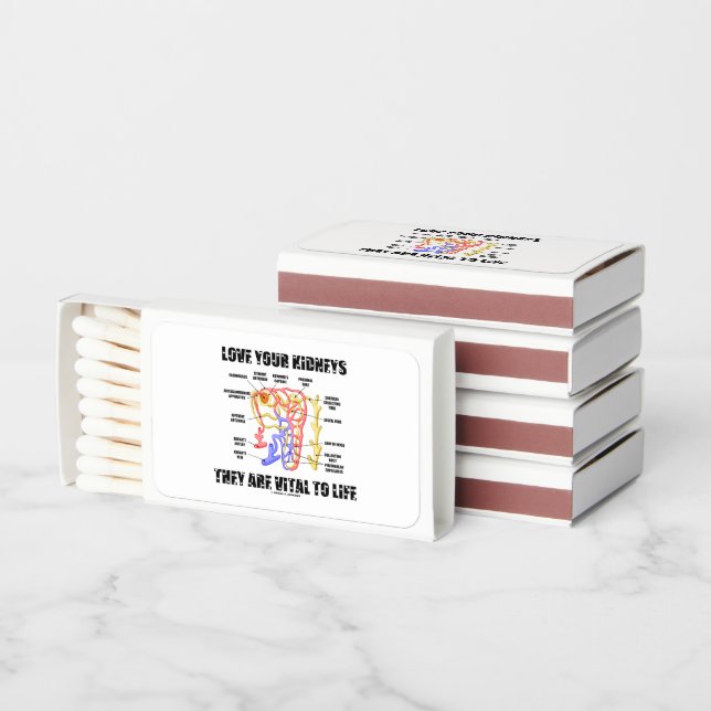 Love Your Kidneys They Are Vital To Life Nephron Matchboxes (Stacked)