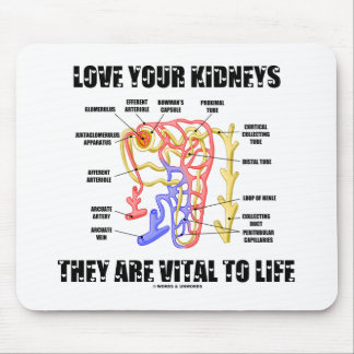Love Your Kidneys They Are Vital To Life (Nephron) Mouse Pad