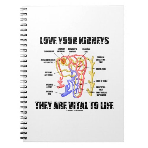 Love Your Kidneys They Are Vital To Life Nephron Notebook