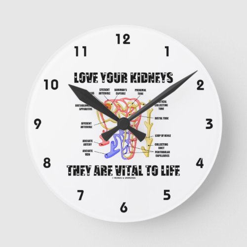 Love Your Kidneys They Are Vital To Life Nephron Round Clock