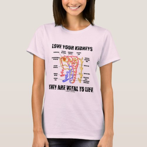 Love Your Kidneys They Are Vital To Life Nephron T_Shirt