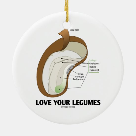 Love Your Legumes (Bean Dicotyledon) Ceramic Ornament