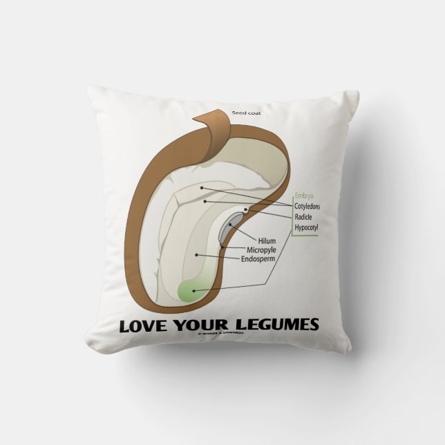 Love Your Legumes Bean Dicotyledon Throw Pillow (Front)