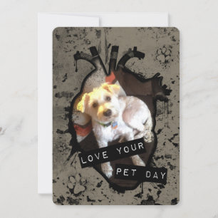 love your pet day invitation