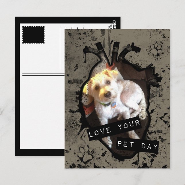 love your pet day postcard (Front/Back)