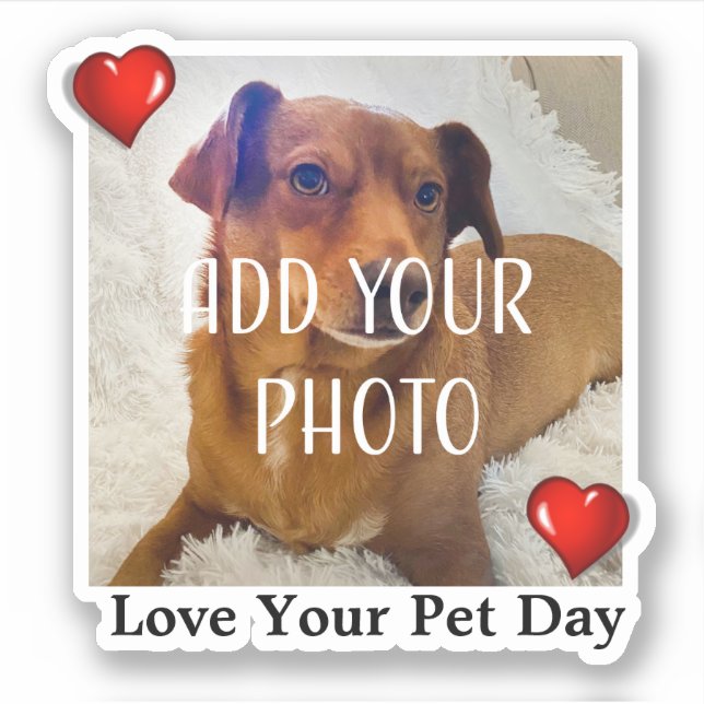 Love Your Pet Day Sticker (Front)