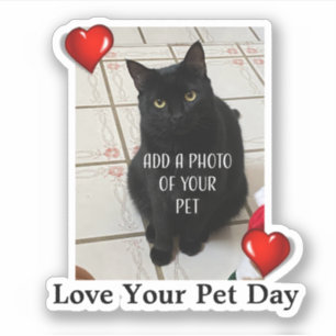 Love Your Pet Day Sticker