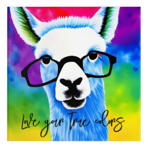 Love Your True Colors Llama Acrylic Wall Art