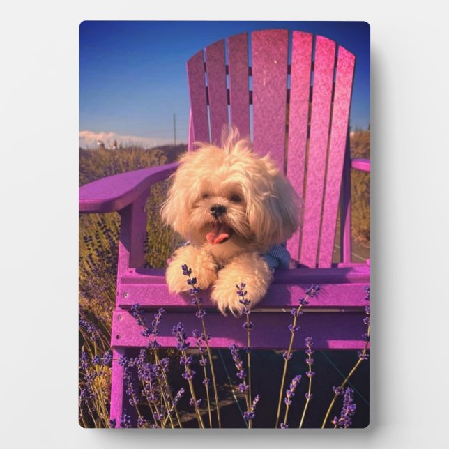 Loveable Fluffy Shih Tzu Toy Puppy, Happy Dog Sits Plaque (Front)
