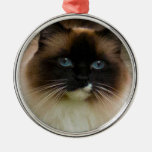 Loveable Ragdoll Cat Ornament