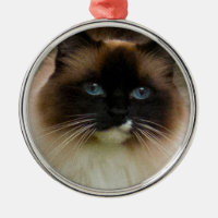 Loveable Ragdoll Cat Ornament