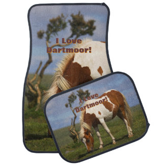 Loveable Wild Pony on Dartmoor Car Floor Mat