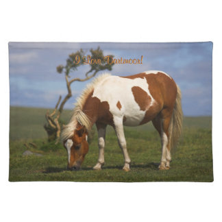 Loveable Wild Pony on Dartmoor Cloth Placemat