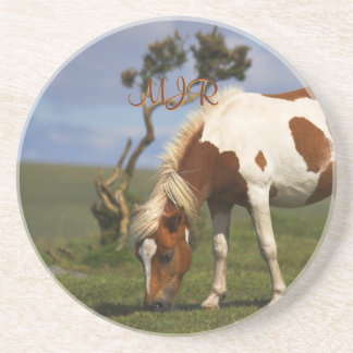 Loveable Wild Pony on Dartmoor Drink Coaster