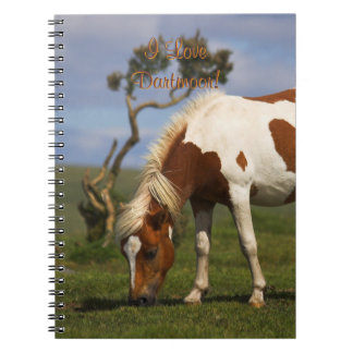 Loveable Wild Pony on Dartmoor Notebook