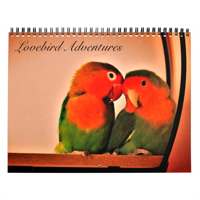 Lovebird Adventures Calendar (Cover)