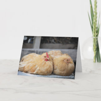 Lovebird Chickens Greeting Card