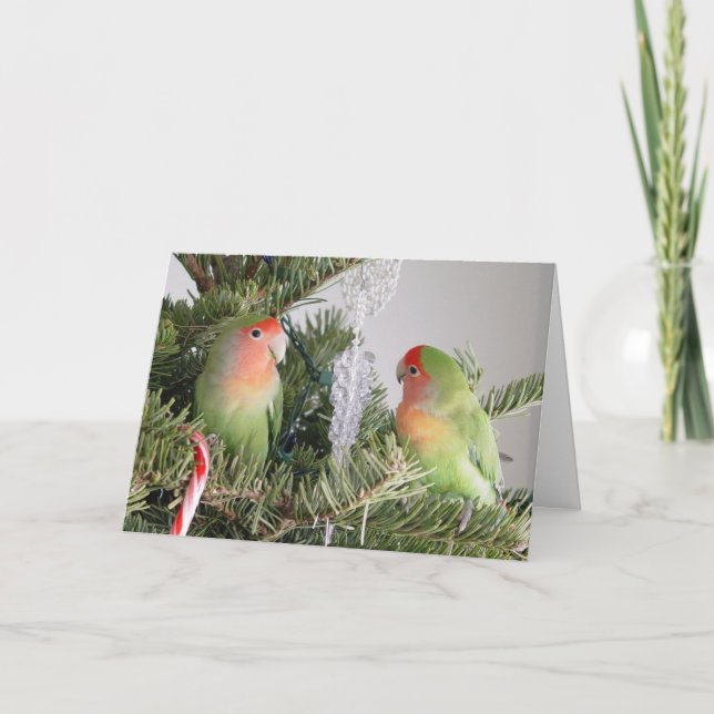 Lovebird Christmas Card (Front)