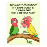 Lovebird parrot and bird way telling i love you postcard