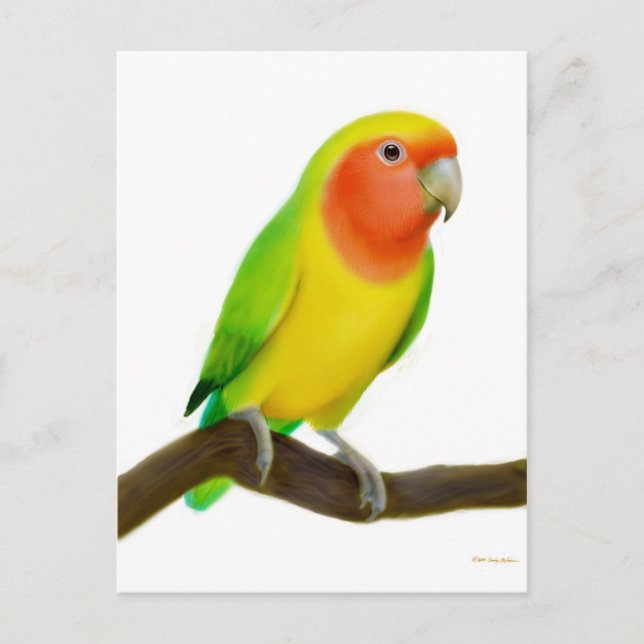 Lovebird Postcard (Front)