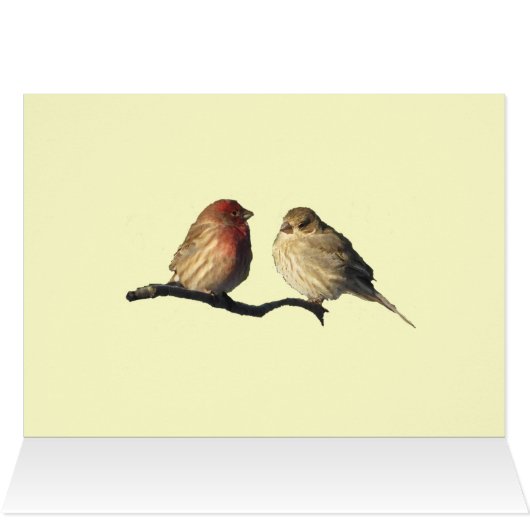 Lovebirds Earth Day (Inside Horizontal (Top))